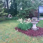 Les Volets Bleus Holiday home Gondrecourt-le-Chateau